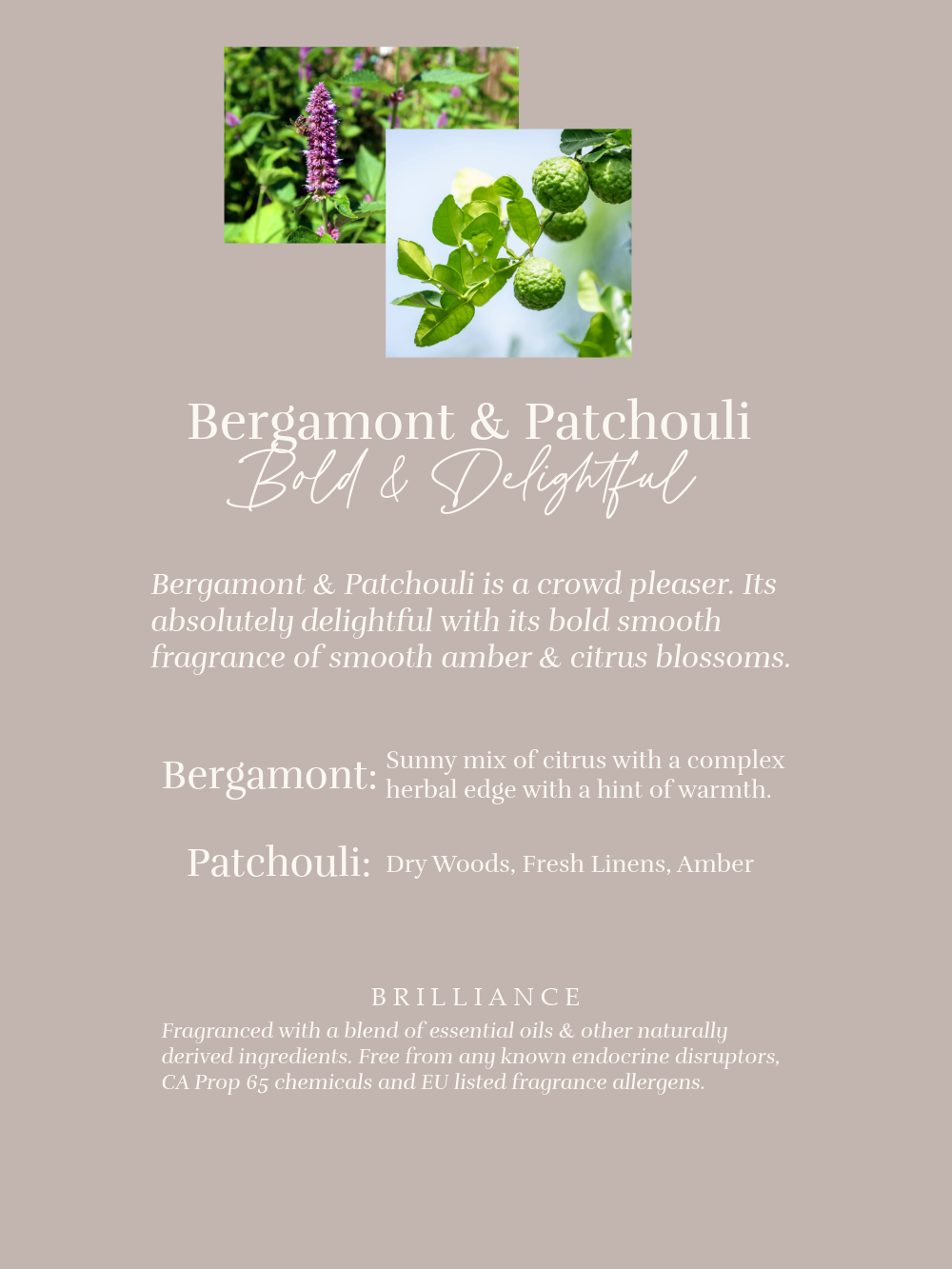 Bergamot & Patchouli Eco Pouch