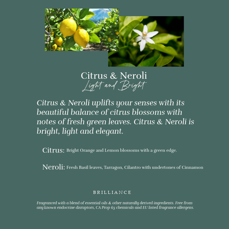 Concentrated Laundry Detergent