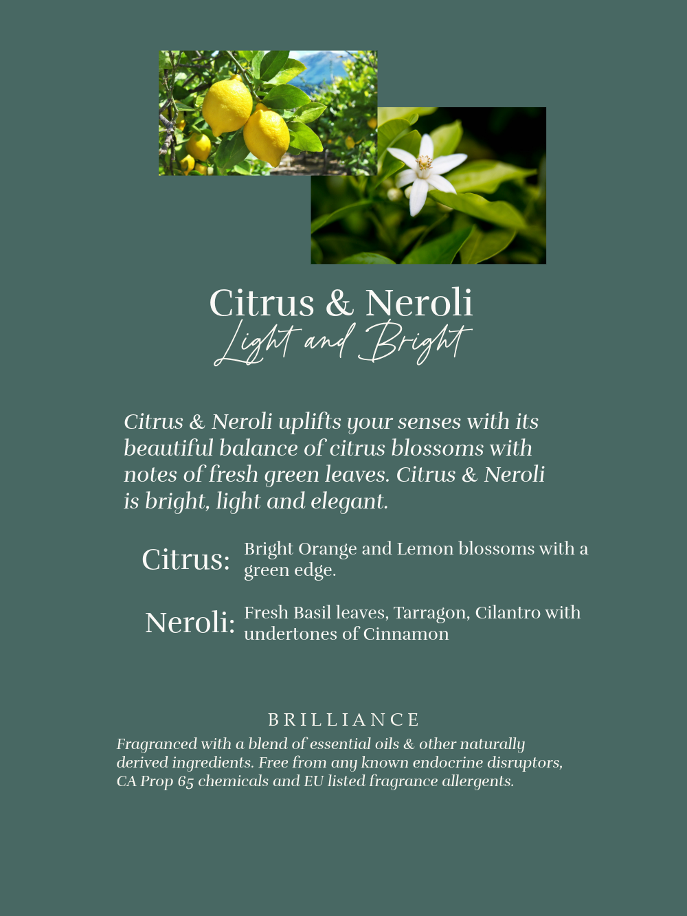 Citrus & Neroli Eco Pouch