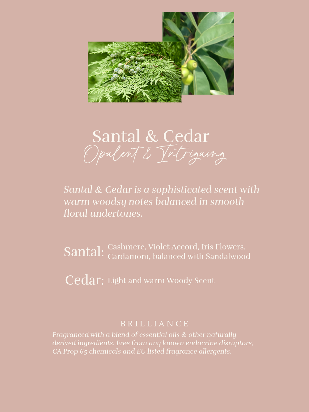 Santal & Cedar Eco Pouch