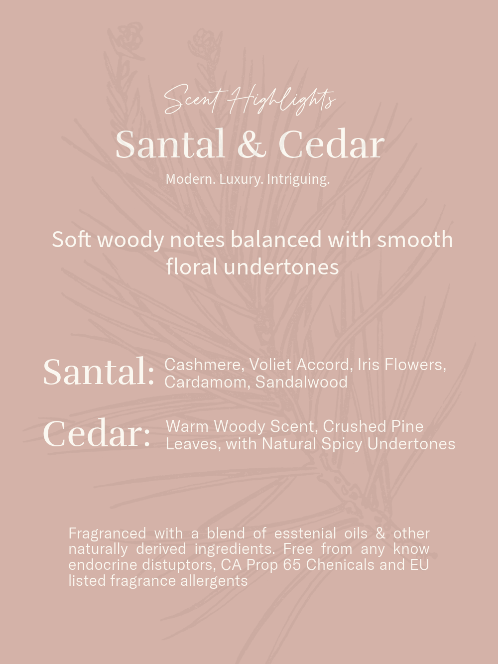Santal & Cedar Eco Pouch