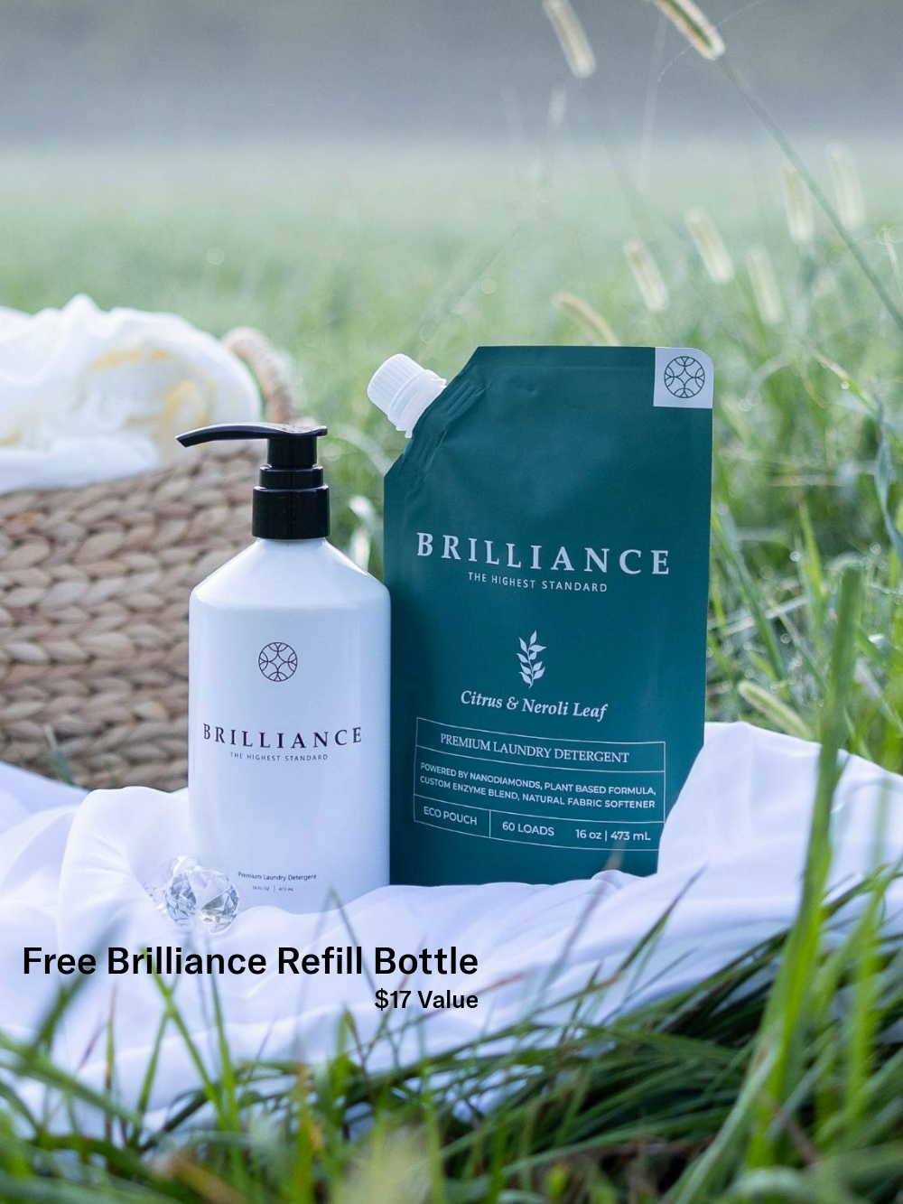 Signature Starter Set